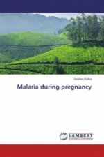 Malaria during pregnancy