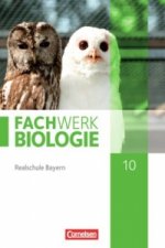 Fachwerk Biologie - Realschule Bayern - Ausgabe 2014 - 10. Jahrgangsstufe
