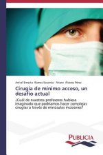 Cirugia de minimo acceso, un desafio actual