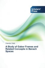 Study of Gabor Frames and Related Concepts in Banach Spaces