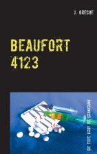 Beaufort 4123