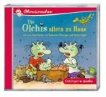 Die Olchis allein zu Haus und zwei Geschichten von Katharina Vöhringer und Ulrike Rogler, 1 Audio-CD