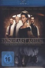 Stonehearst Asylum - Diese Mauern wirst Du nie verlassen, 1 Blu-ray