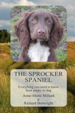 Sprocker Spaniel