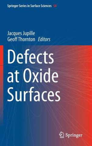 Defects at Oxide Surfaces