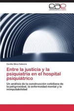 Entre la justicia y la psiquiatria en el hospital psiquiatrico