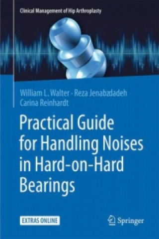 Practical Guide for Handling Noises in Hard-on-Hard-Bearings