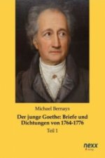 Der junge Goethe: Briefe und Dichtungen von 1764-1776