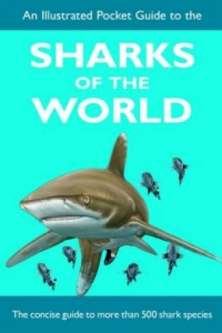 Illustrated Pocket Guide to the Sharks of the World