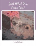 Just What Is a Pooka Pup?