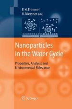 Nanoparticles in the Water Cycle