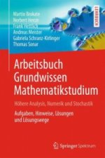 Arbeitsbuch Grundwissen Mathematikstudium - Hohere Analysis, Numerik und Stochastik