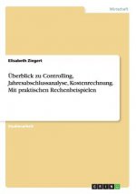 Überblick zu Controlling, Jahresabschlussanalyse, Kostenrechnung. Mit praktischen Rechenbeispielen