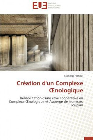 Cr ation d'Un Complexe Nologique