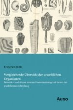 Vergleichende Übersicht der urweltlichen Organismen