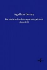 Die römische Lautlehre sprachvergleichend dargestellt