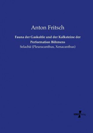 Fauna der Gaskohle und der Kalksteine der Performation Boehmens