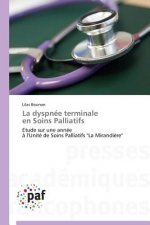 La Dyspnee Terminale En Soins Palliatifs