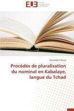 Proc d s de Pluralisation Du Nominal En Kabalaye, Langue Du Tchad