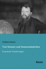 Von Sonnen und Sonnenstäubchen