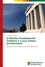 O Direito Fundamental Coletivo e a sua Tutela Jurisdicional