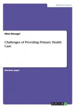 Challenges of Providing Primary Health Care