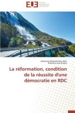 R formation, Condition de la R ussite d'Une D mocratie En Rdc