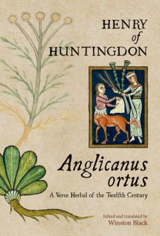 ANGLICANUS ORTUS