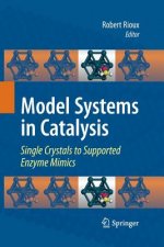Model Systems in Catalysis