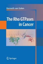 Rho GTPases in Cancer