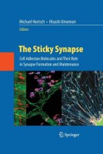 Sticky Synapse