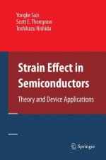 Strain Effect in Semiconductors