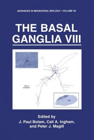 Basal Ganglia VIII