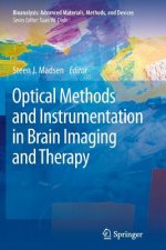 Optical Methods and Instrumentation in Brain Imaging and Therapy