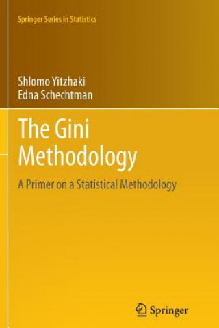 Gini Methodology