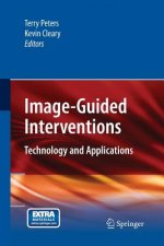 Image-Guided Interventions