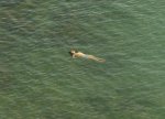 Richard Misrach:The Mysterious Opacity of Other Beings