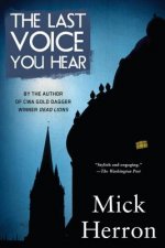 Last Voice You Hear