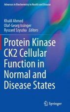 Protein Kinase CK2 Cellular Function in Normal and Disease States