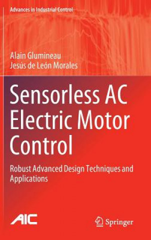 Sensorless AC Electric Motor Control