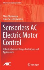 Sensorless AC Electric Motor Control