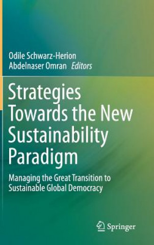 Strategies Towards the New Sustainability Paradigm