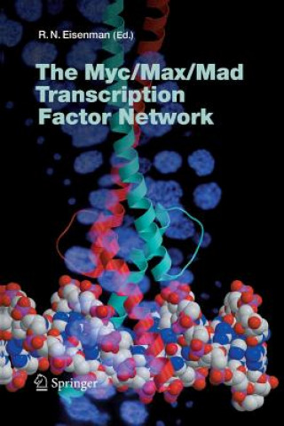 Myc/Max/Mad Transcription Factor Network