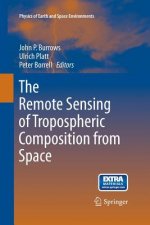 Remote Sensing of Tropospheric Composition from Space