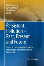 Persistent Pollution - Past, Present and Future