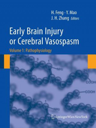 Early Brain Injury or Cerebral Vasospasm