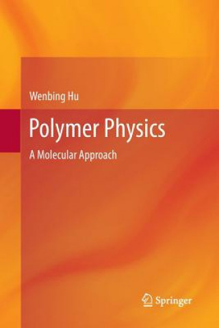 Polymer Physics