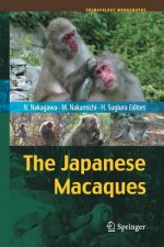 Japanese Macaques