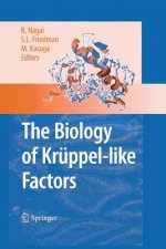 Biology of Kruppel-like Factors