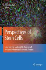 Perspectives of Stem Cells